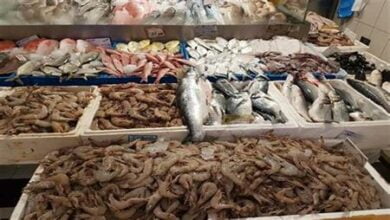 Photo of أسعار السمك اليوم في مصر للمستهلك 2024